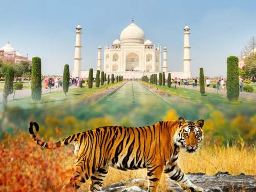 paquetes turisticos a la india